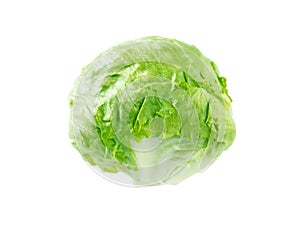 Iceberg lettuce salad head