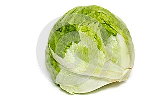 Iceberg Lettuce