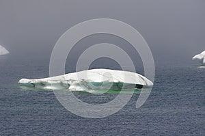 Iceberg Melting