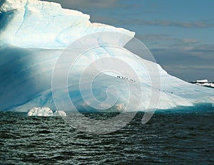 Iceberg & penguin