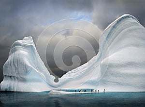 iceberg with penguins photo