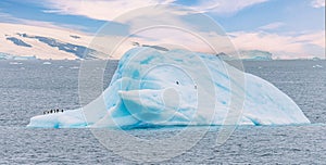 Iceberg with penguins in front of Antarctic iceberg landscape at Portal Point