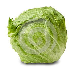 Iceberg salad - head of lettuce