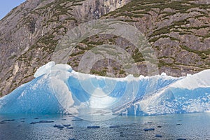 Iceberg from Sawyer glacier in Tracy Arm fjord