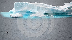 Iceberg shining in white, turquoise color in dark blue riffled Southern Antarctic Ocean, Antarctica. Penguin in foreground.