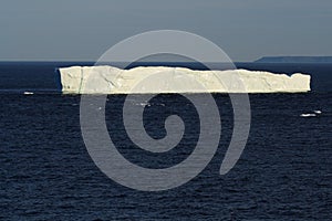 Iceberg Slab at Goose Cove