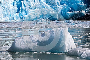 Iceberg in Tracy Arm Fjord