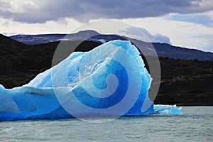Iceberg at Upsala Glacier
