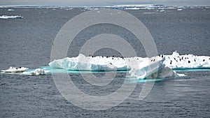 Icebergs with Adelie penguins upside in Antarctic Ocean near Paulet Island Antarctica. photo