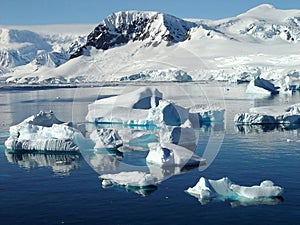 Ľadovca antarktída 