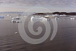 Icebergs on arctic ocean in Greenland