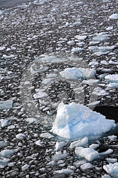 Glaciar a fresco en paz el mar 