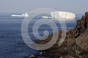 Icebergs During Early Morning in Goose Cove