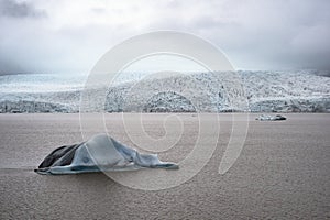 Icebergs float in Fjallsarlon glacial lagoon in Iceland