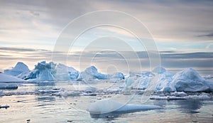 Icebergs floating in Antarctica waters in midnight sun