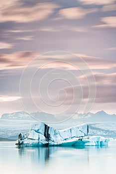 Icebergs floating on an icelandic lagoon in a pink sunset