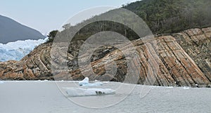 Icebergs floating on a lake with a forest background.