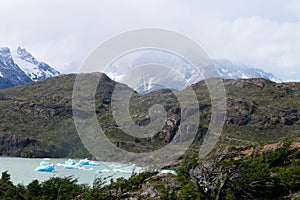 Icebergs on Grey Lake, Chile, Torres del Paine