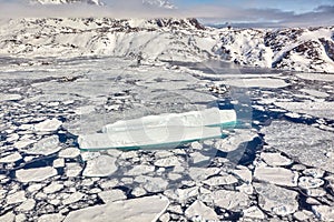 Icebergs among ice field