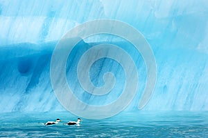 Icebergs in Jokulsarlon glacial lagoon