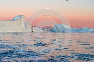 Icebergs in the midnight sun, Ilulissat, Greenland