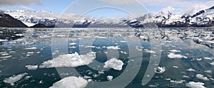 Icebergs and Mountains Panoramic - Kenai Fjords photo