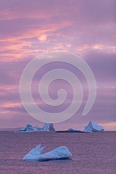 Icebergs and purple sunset, Fogo Island