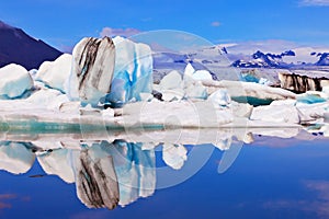 Icebergs are reflected in water