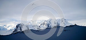 Icebergs and snow capped mountains in the Antarctic Peninsula after passing the Lemaire Channel in Antarctica.