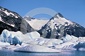 Icebergs in Spencer Lake  20717