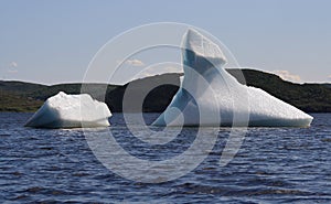 Icebergs in St. Anthony Bight