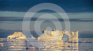 Icebergs at Sunset.