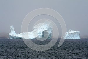 Icebergs Twillingate
