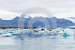 Icebergs on water, Jokulsarlon glacial lake, Iceland