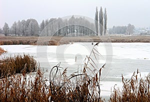 The icebound lake photo
