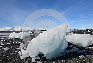 Iceburgs on a black sand beach in Iceland