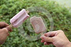 Icecream stick in hand