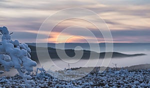 Iced bush branches covered with ice and snow against the backdrop of a winter sunset in the hills