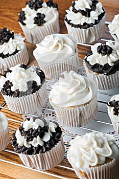 Iced Gourmet Cup Cakes