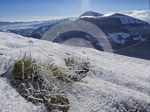 Iced grass in winter, mount Motette, Appenines, Umbria, Italy