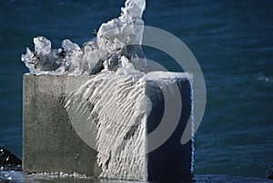 Iced objets and plant plants