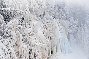 Iced Shoreline of Tahquamenon River