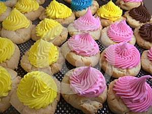 Iced Sugar Cookies photo