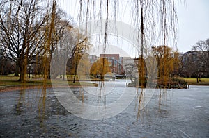 Iced winter in Boston Commons