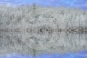 Iced Winter Shoreline of Long Lake