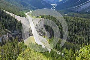 Icefield parkway in forests photo