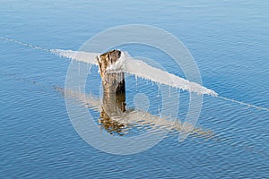 Iceformation on barbed wire in the Netherlands