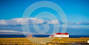 Icelalndic farm house and shed with bright red roof and snow cap