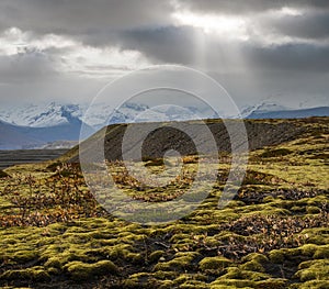 Iceland autumn tundra landscape near Haoldukvisl glacier, Iceland. Glacier tongue slides from the Vatnajokull icecap or Vatna