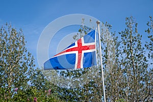 Iceland flag blowing in the wind, trees in the background